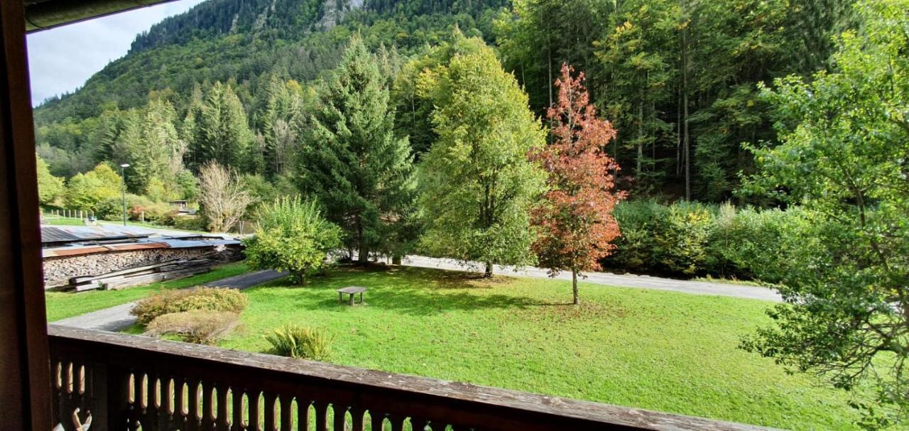 Appartement-3-Chambres-8-Couchages-Wifi-Montriond-Chebourins Zewnętrze zdjęcie